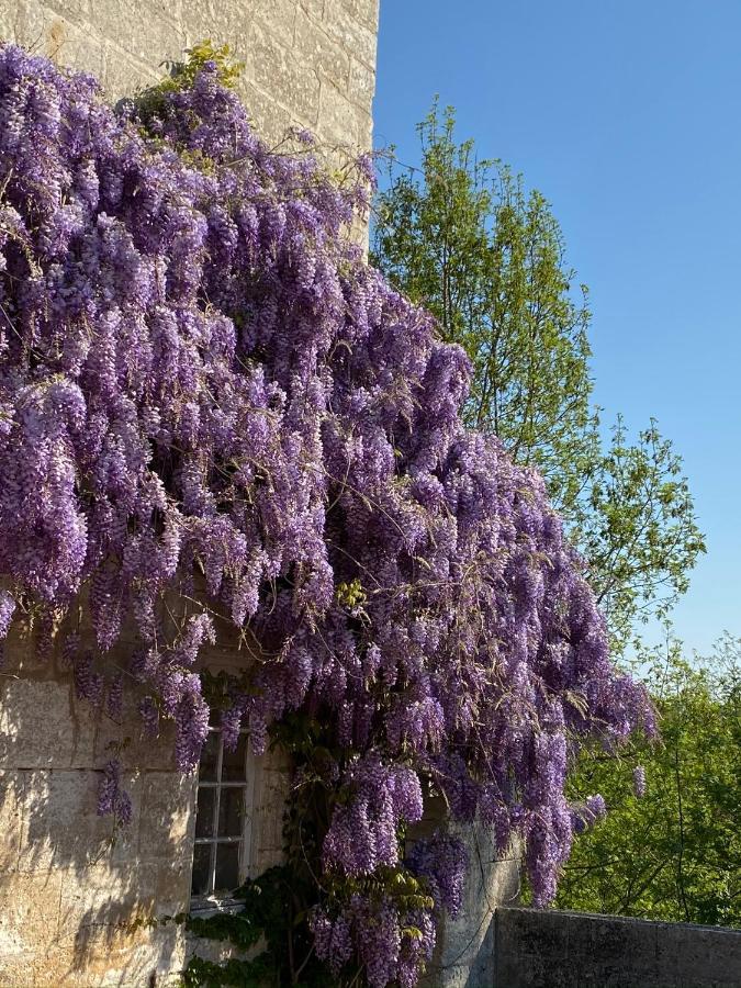 Le Chatenet 1689 Brantôme Esterno foto