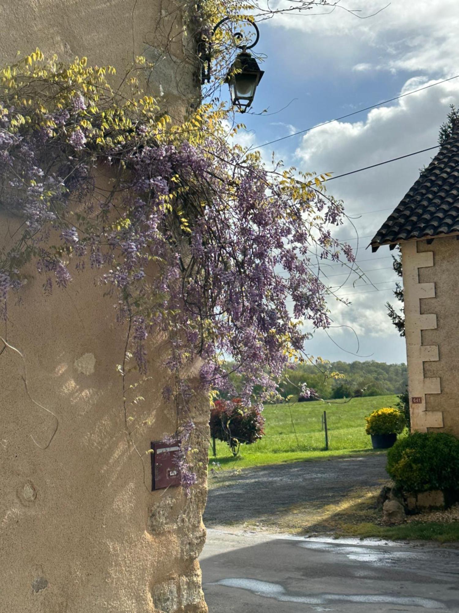 Le Chatenet 1689 Brantôme Esterno foto
